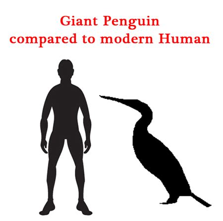 human sized penguin|human sized dinosaur.